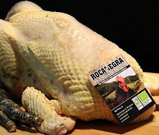 Pollastre pota negre ecològic Penedès